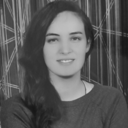 Dr. Kaouter Karboub